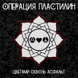 Операция пластилин сон