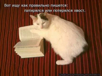 Люди найдены как пишется