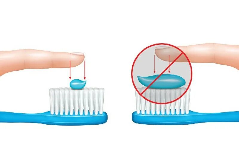 зубная паста и щетка. зубная паста и щетка. сколько зубной пасты на щетку. сколько надо выдавливать пасты на зубную щетку. чистка зубов щеткой.