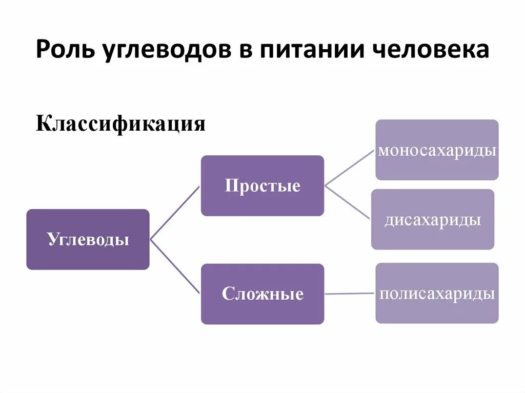 Биологическая роль питания. Углеводы их роль в организме человека. Значение углеводов в питании. Углеводы и их значение в питании. Значение углеводов в питании человека.