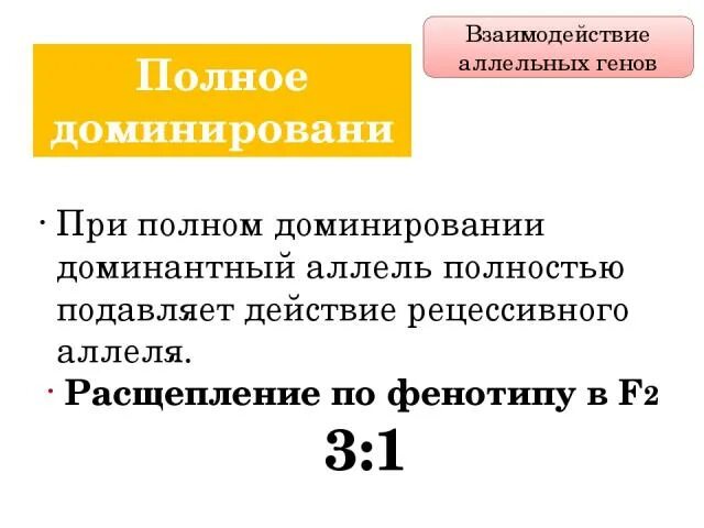 Расщепление при полном доминировании. Генотип при полном доминировании. Расщепление по генотипу при полном доминировании. Расщепление по фенотипу при полном доминировании. Полное доминирование аллельных генов