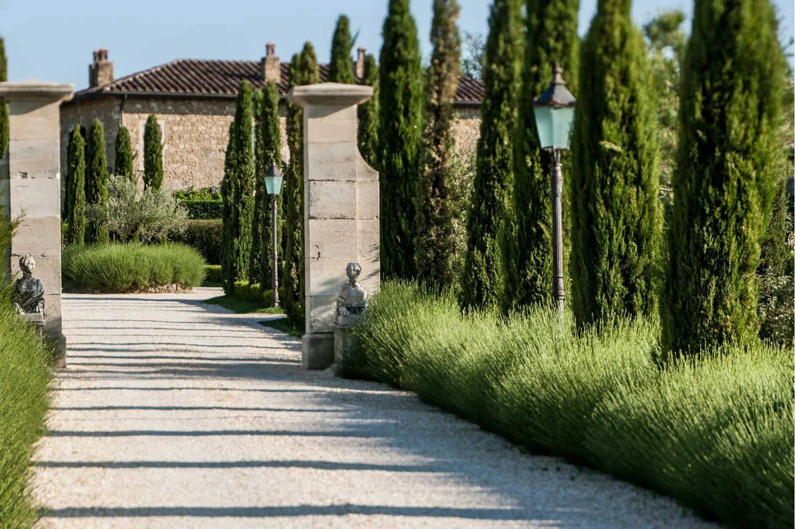 Hummingbird Nest Ranch and Equestrian Heaven ideasgn Garden design, Cypress tree