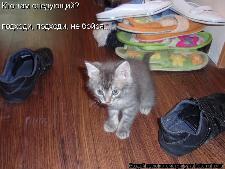 какой там следующий. девушка сколько вам лет картинка. милонов мем. какой там следующий. сколько там лет.