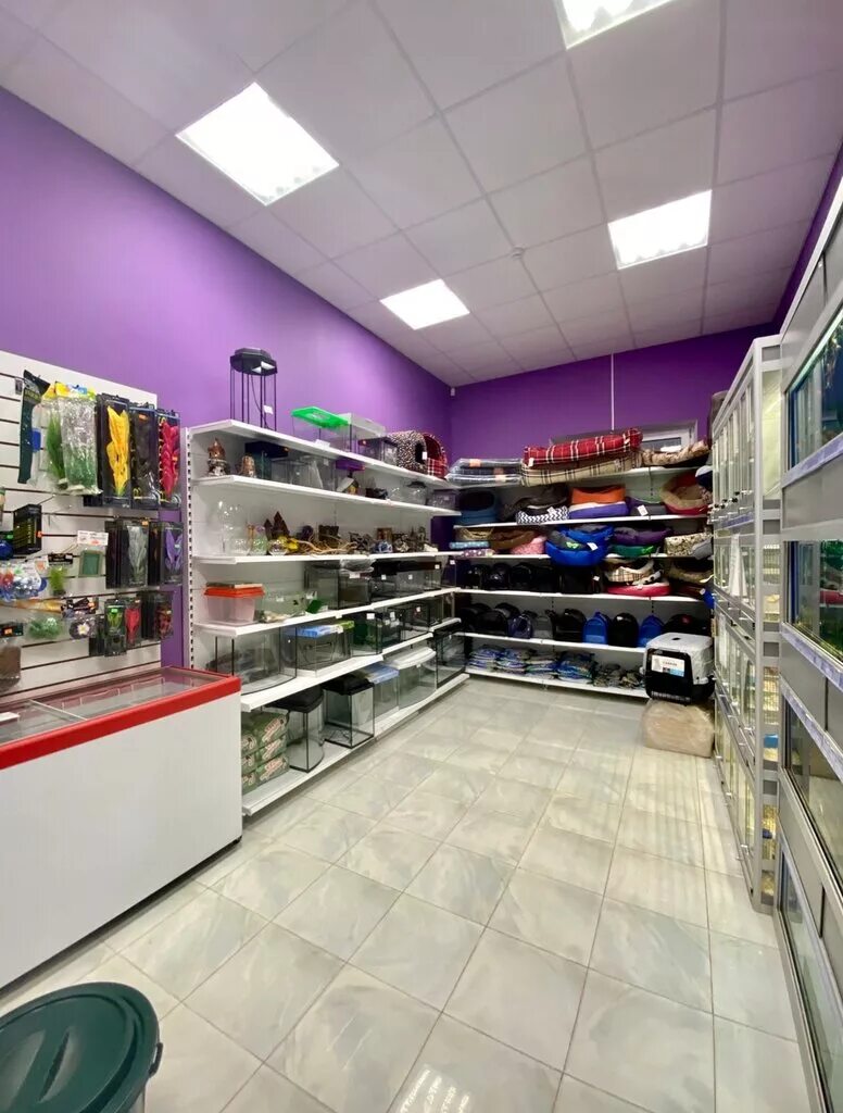 зоомагазин в махачкале рыбки. магазин для животных зоомагазин. зоомагазин ассортимент. зоомагазин центр. магазин товаров для животных.
