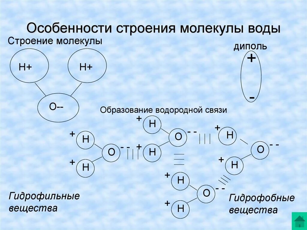 Схема строения молекулы. Схема структуры молекулы воды. молекулы в жидкостях особенности строения. особенности строения молекулы воды. особенности структуры воды.
