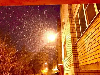 Потепление в воронеже