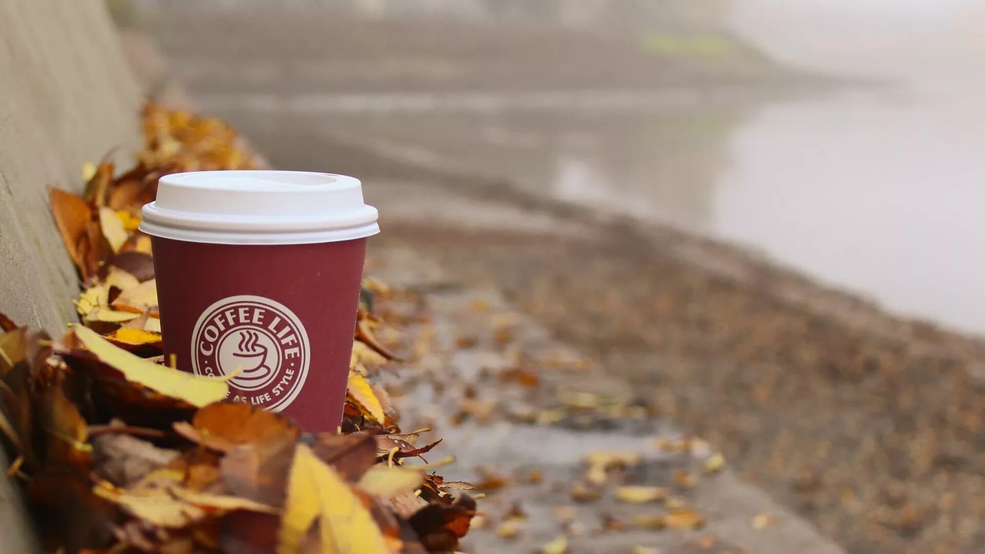 Close Up of Woman Drinking Coffee in Autumn Park Stock Photo - Image of nature, 