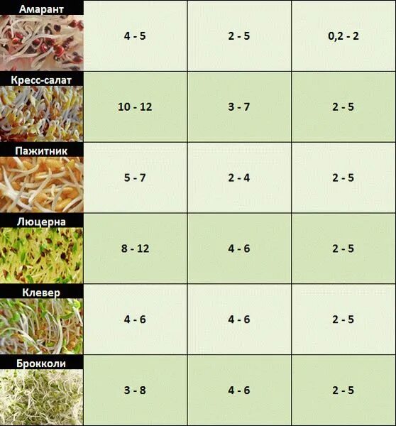 На сколько часов нужно замачивать. Таблица прорастания семян микрозелени. Таблица семян микрозелени. Таблица всхожести семян микрозелени. Микрозелень таблица прорастания.