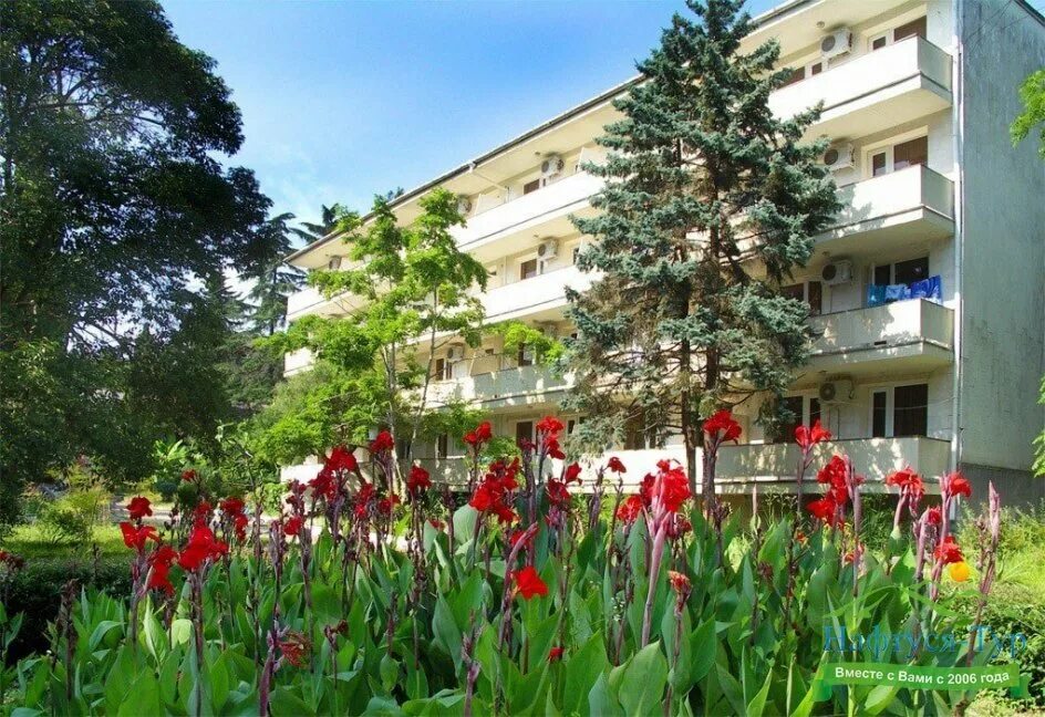 Бургас 3*. Лучшие санатории адлера. Пансионат бургас адлер ленина 233. Лучшие санатории адлера. Сочи кудепста бургас.