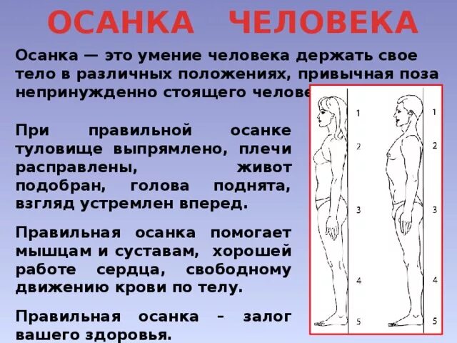 характеристика нарушения осанки