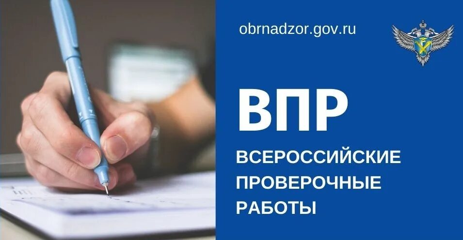 ВПР 2022 осень. Всероссийские проверочные работы. ВПР среднее профессиональное образование. Картинки по ВПР. Https student edu ru впр