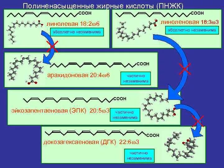 Полиненасыщенные жирные кислоты. Жирные полунасыщенные кислоты. Перечислите ПНЖК. Источники насыщенных и полиненасыщенных жирных кислот для организма. Источник 3 жирных кислот ответ на тест