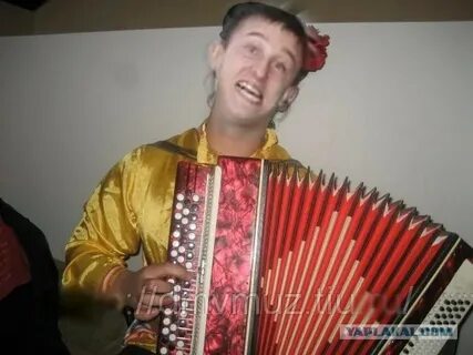 Рок гармошка