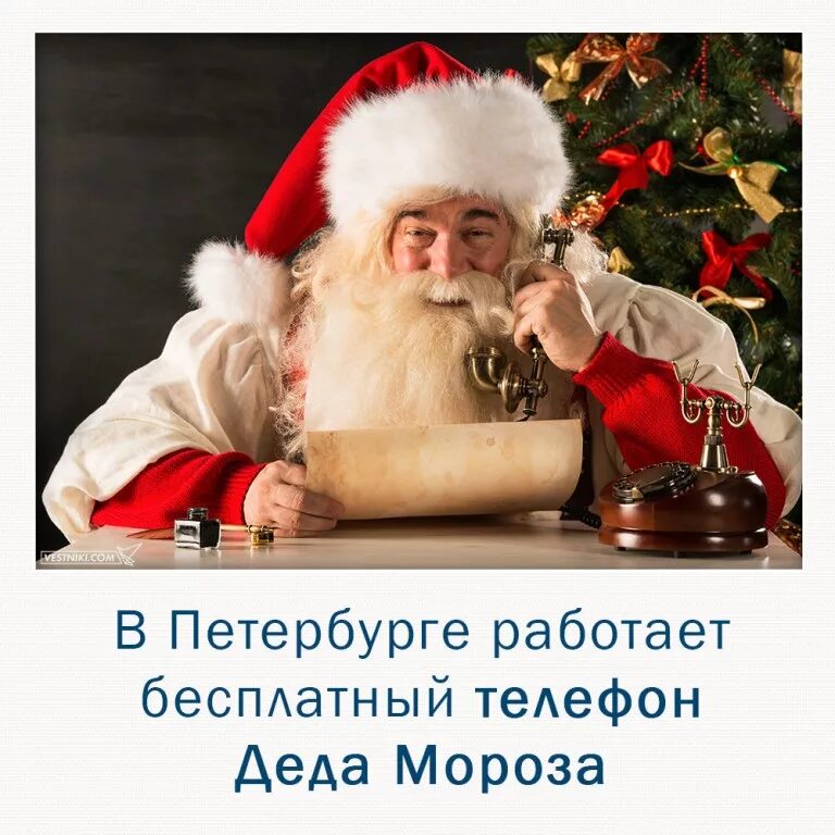 Как позвонить дедушке морозу по телефону. Дед мороз. позвонить деду морозу. дед мороз звонит. позванитьдьедумаро зу.