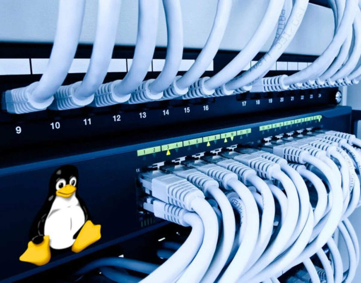 Linux сеть. Сеть linux. linux сетевая. поддержка сервера линукс. серверный линукс.