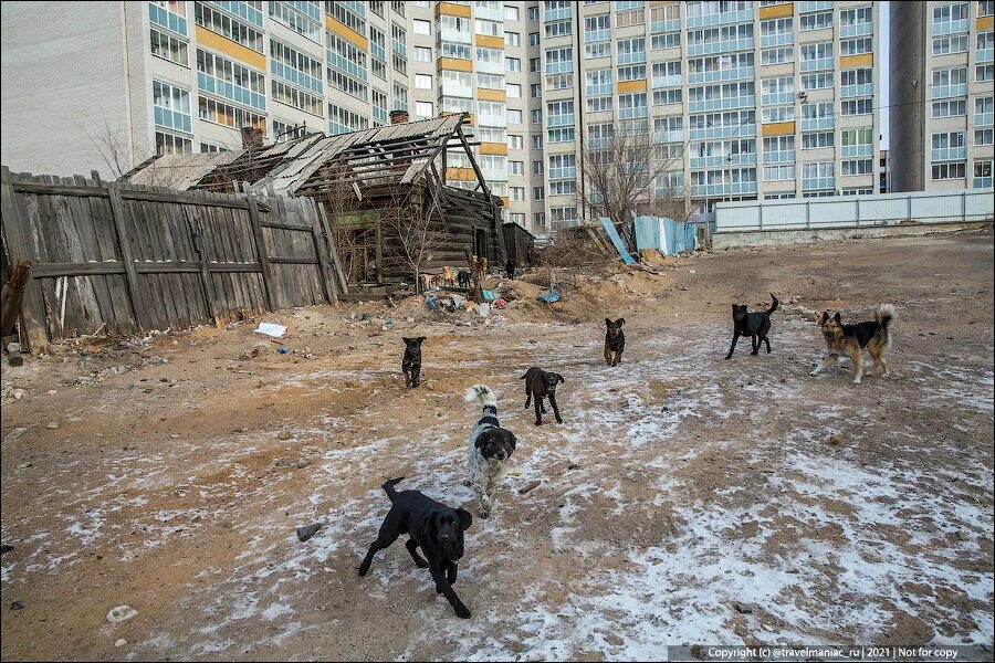 Трущобы России. Саратовские трущобы. Трущобы Москвы. Трущобы зимой.