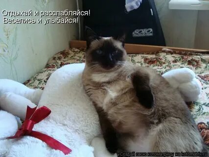Отдыхай развлекайся