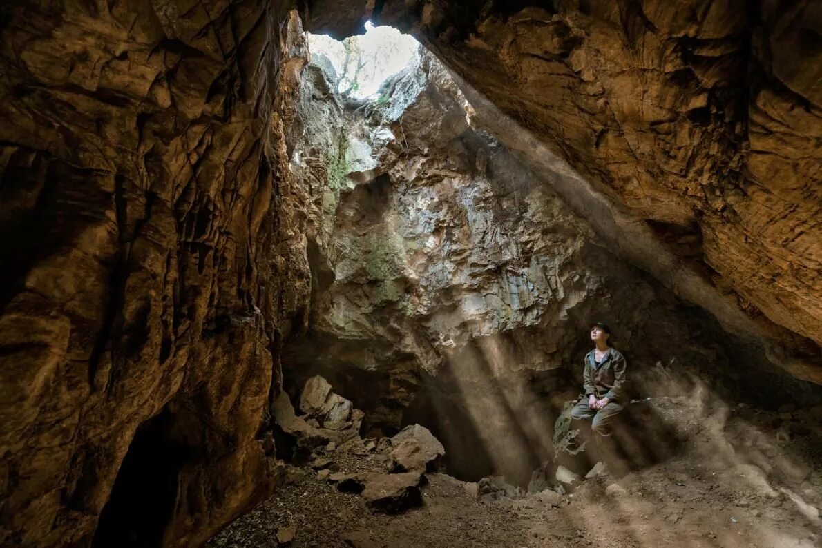 Cave rose. Cave rose. Cave rose. Пещера диналеди. Райзинг стар пещера.