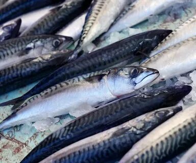Качество мороженой рыбы