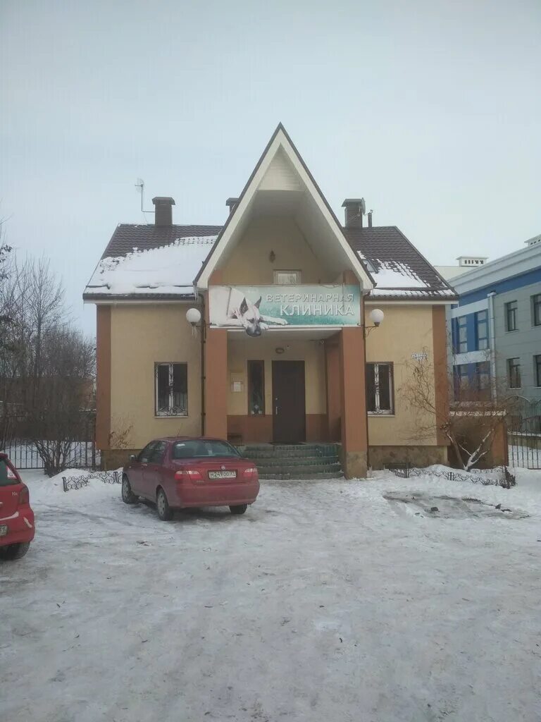 ветеринарная клиника 4 с хвостиком белгород. четыре с хвостиком нижний тагил. приют четыре с хвостиком нижний тагил. 4 с хвостиком белгород. 4 с хвостиком белгород.
