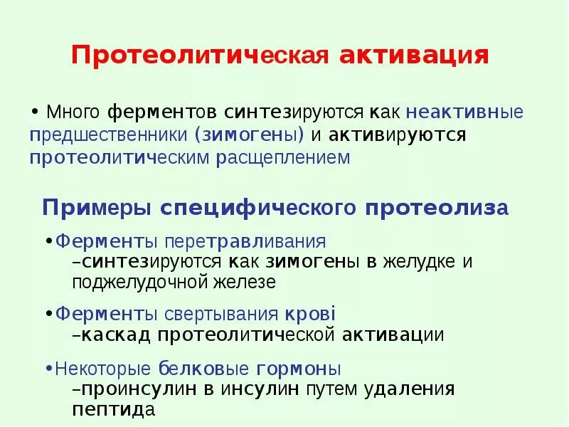 Протеолитическая активность ферментов