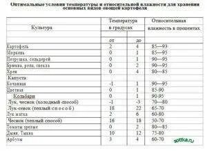 Какая температура в подвале дома