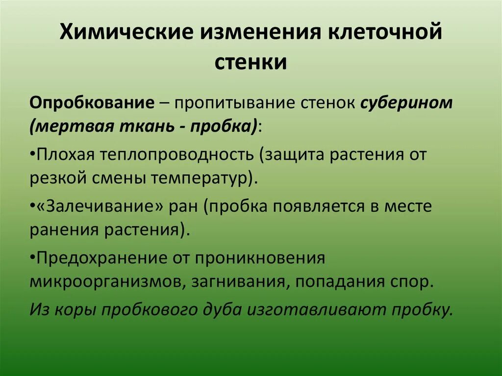 Химические изменения клеток. Одревеснение клеточной стенки. Химические изменения клеточной стенки. Лигнин и суберин у растений. Опробкование.