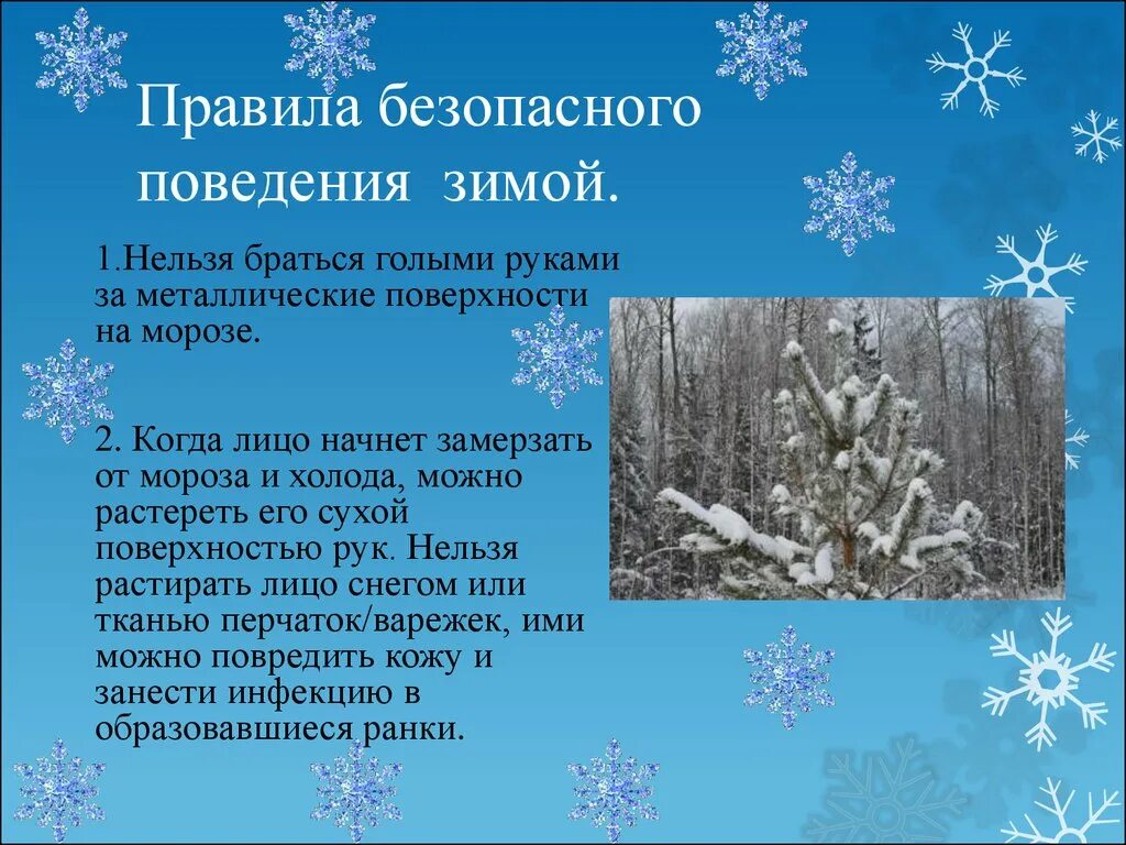 Правила поведения зимой. Правила безопасности в лесу зимой. Правило поведения зимой. Правила поведения в лесу зимой. С какого дня считают морозы