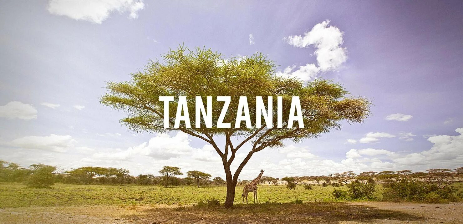 Особенности страны танзания. Визитная карточка Танзании. Танзания коллаж. Реклама про Танзанию. Название для парка в Танзании.