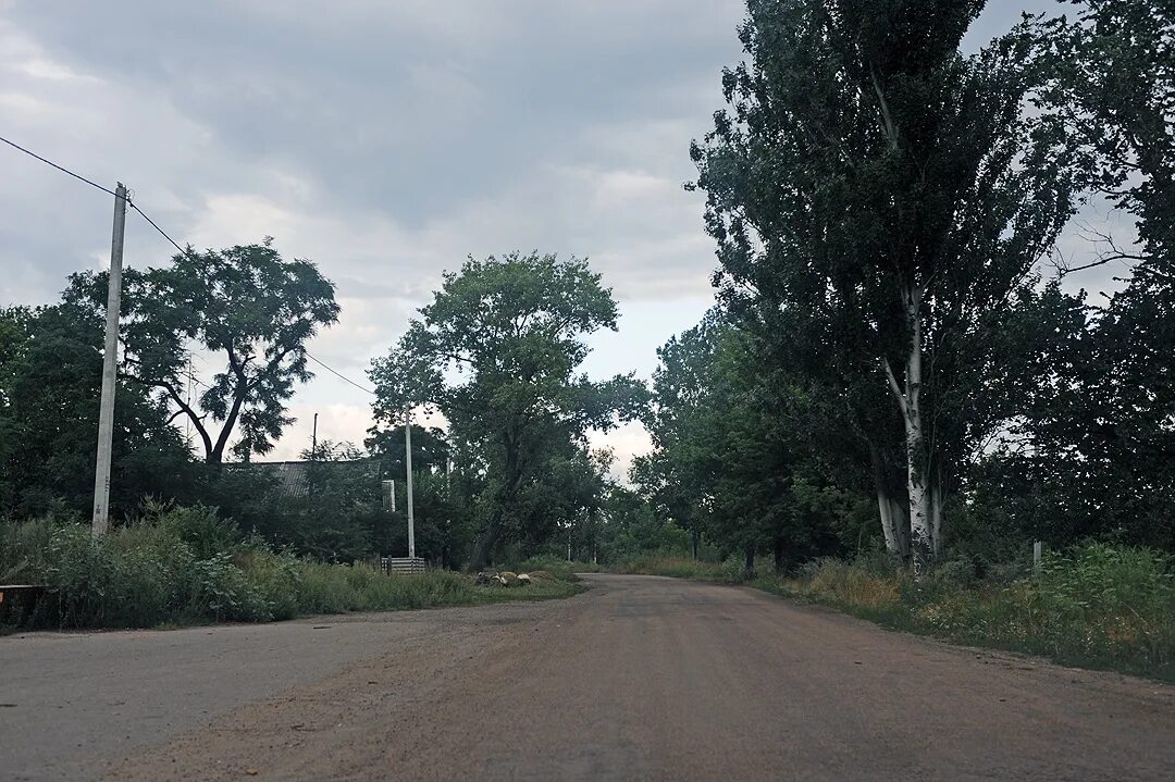 Калиново-борщеватое. Пляжи в поселке калиново. Погода калиново красногвардейский. Калиново луганская область. Погода калиново красногвардейский.