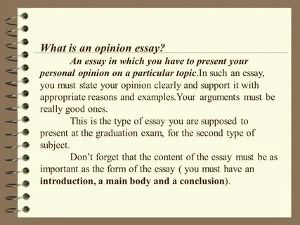 Opinion essay example
