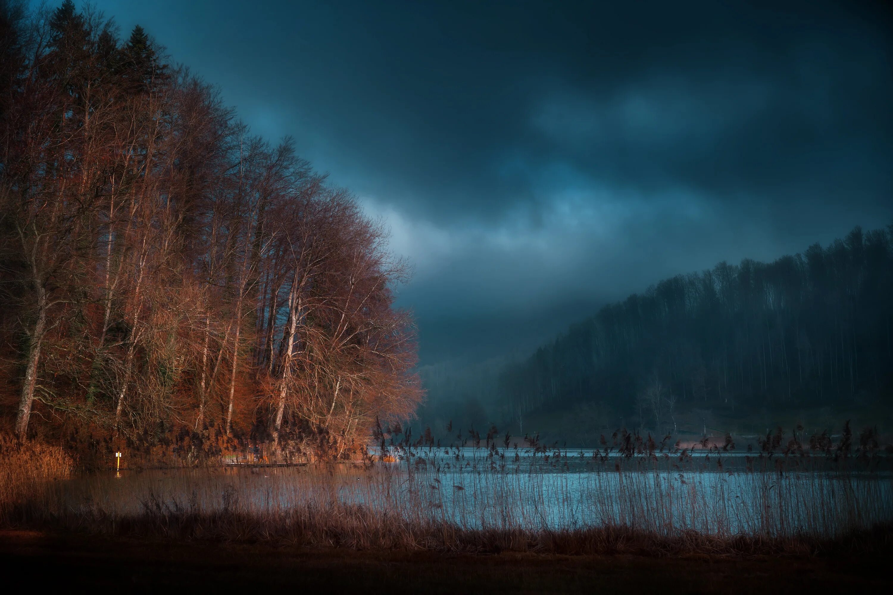 Озеро в лесу. Пасмурный вечер в лесу. «Ночь в лесу». Ночной лес. Река пасмурная