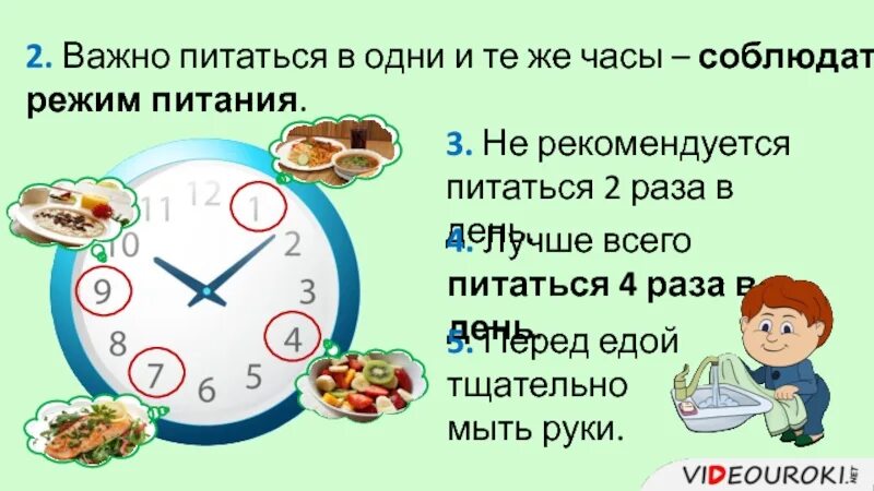 Питание 2 3 раза в день. Режим питания 3 раза в день. режим питания для похудения для женщин по часам. правильный режим питания по часам для женщин. режим питания проект.
