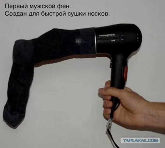 Девушка сушит феном мем Ten psiak uwielbia suszarkę