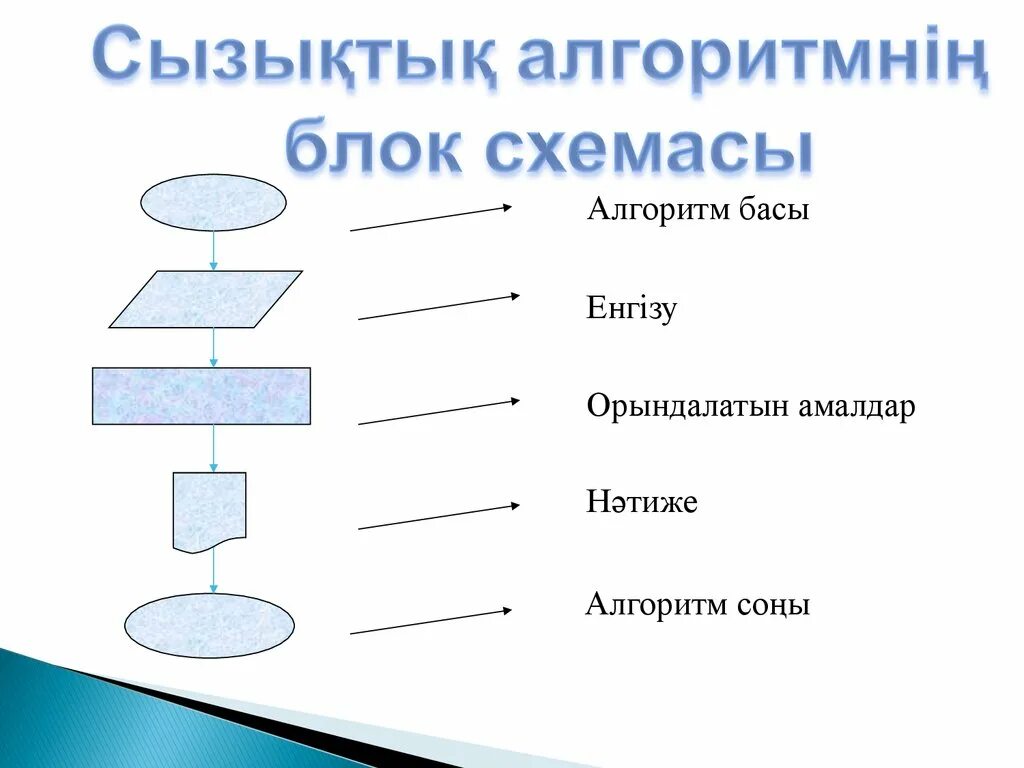 Сызықтық алгоритмдерді программалау 6 сынып