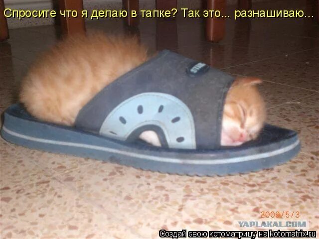 Тапком или тапкой как правильно