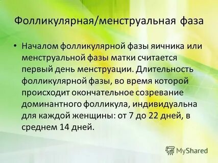 К этой фазе