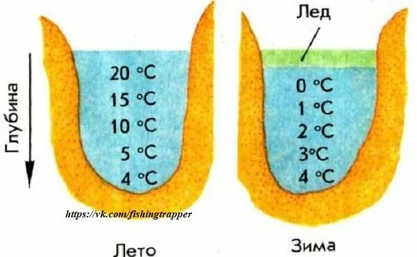 Температура воды в реке. Распределение температуры воды в водоеме. Распределение температур в водоеме. Температура воды в пруду. Температура речной воды