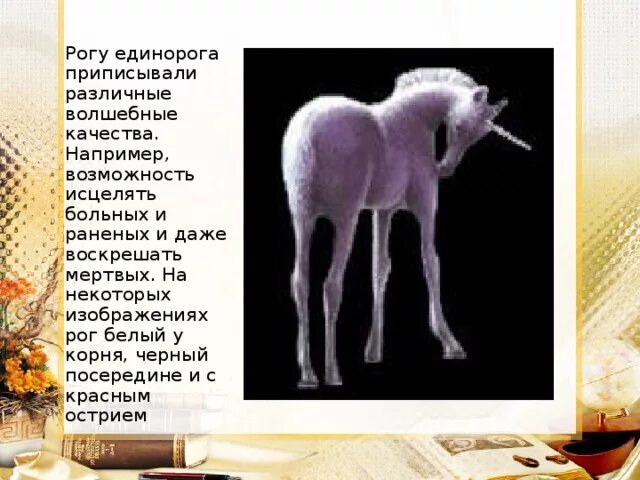 Млекопитающие с рогом как у единорога. Рог единорога в кунсткамере. где у единорога рог. волшебный рог единорога. условия наблюдения единорога.