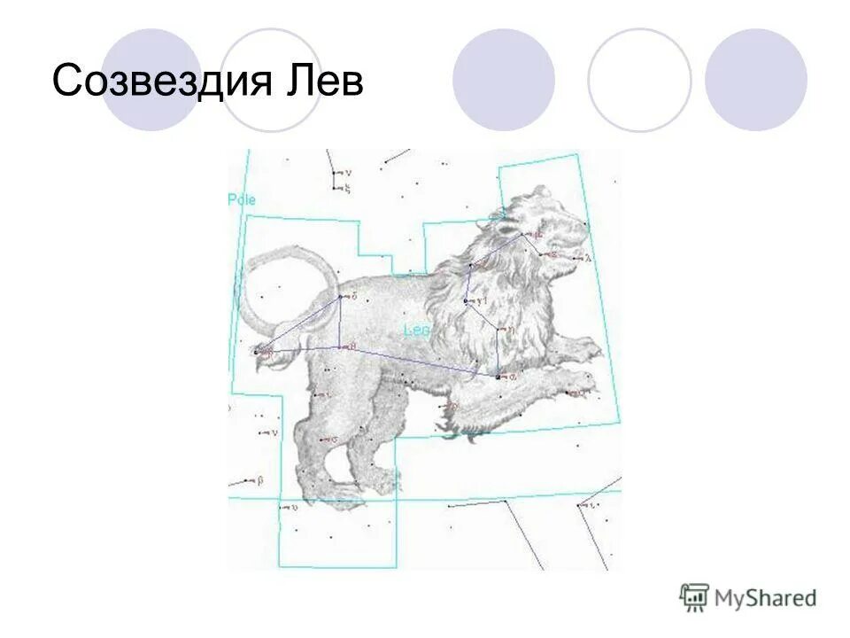 Созвездие льва окружающий мир 1 класс рисунок. Созвездие Лев схема. Созвездие Льва раскраска. Лев малый. Аппликация Созвездие Льва.