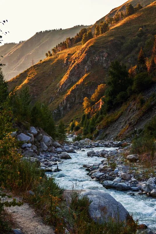 алмарасан алматы