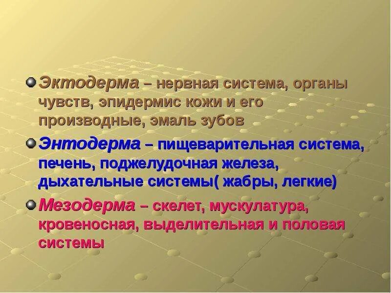 Эктодерма нервная система. Эктодерма это кратко. эктодерма кожа. эктодерма это в биологии.