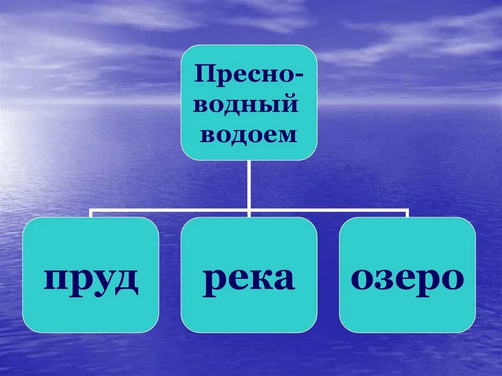 Пресные водоемы названия. Водоёмы 2 класс окружающий мир. Пресные водоемы 2 класс окружающий мир. Пресные и соленые водоемы.