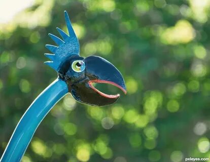 Strange birds