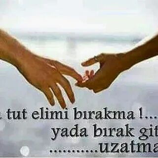 Elimi tut