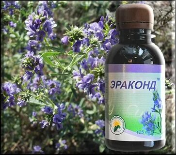 Экстракт люцерны