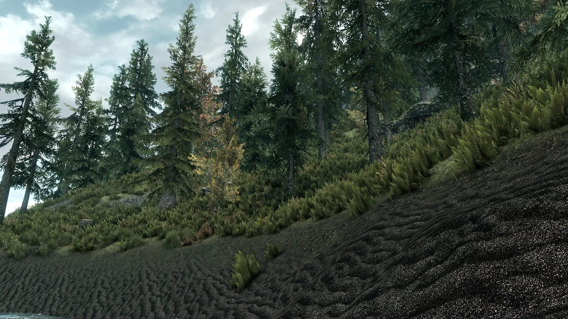 Квебек канада природа. Природа зелень. Красивые виды леса. Озеро рица. Горы лес море панорама.