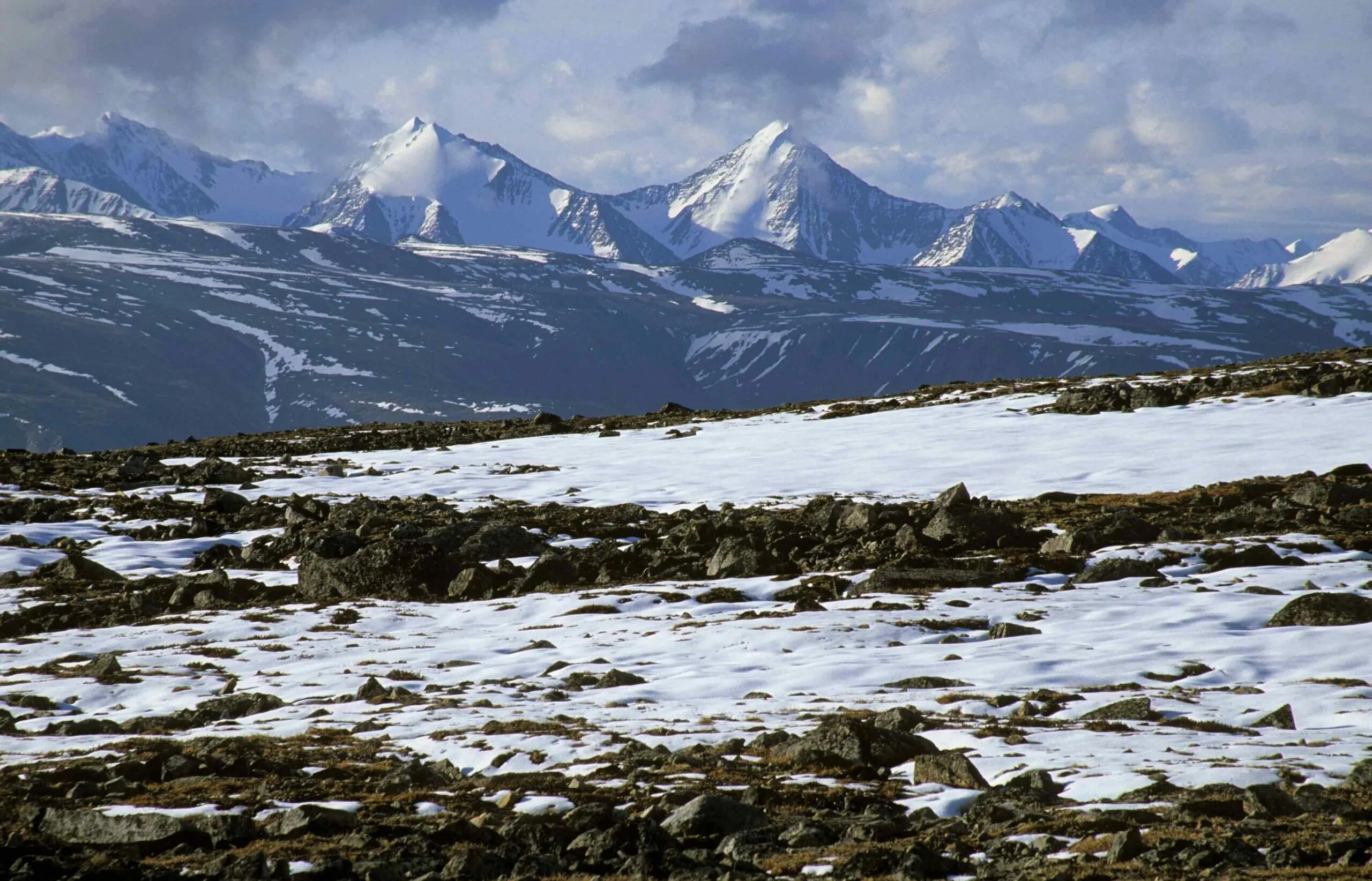 Тундры на полуострове таймыр. Арктическая тундра климат. Климат субарктики. Кольский полуостров ландшафт. Индигирка тундра.