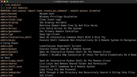 Interactive shell