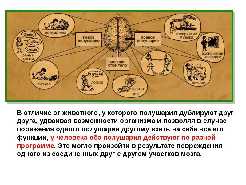 То что отличает человека от животных. Рассказ чем человек отличается от животного. качественные отличия человека от животных. главное отличие человека от животного. чем человек отличается от животного 2 класс.